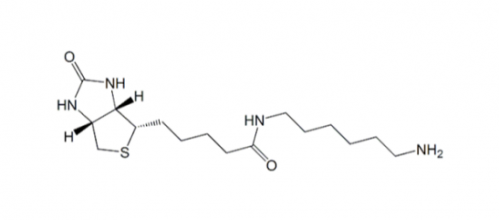 N-Biotinyl-1,6-hexanediamine 生物素-1.6-已二胺(图1)