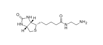 Biotin-EA 生物素-乙二胺(图1)