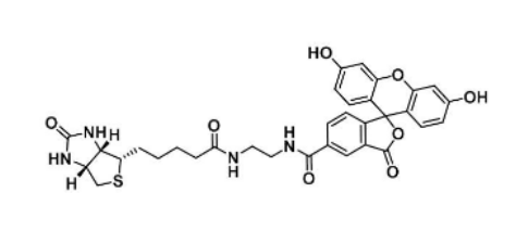 5-FITC-4-Biotin-4(图1)