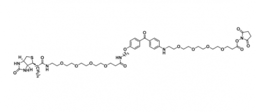 UV-Tracer Biotin NHS Ester(图1)