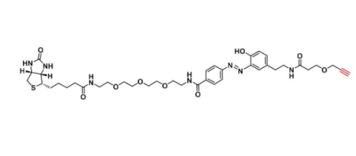Diazo Biotin-PEG3-alkyne(图1)